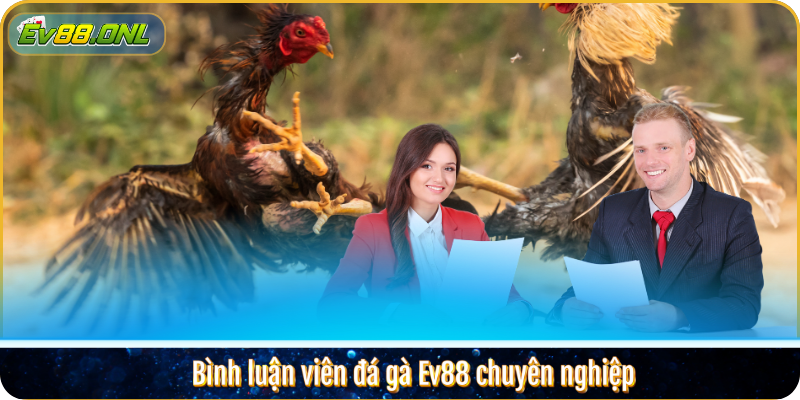 Bình luận viên đá gà Ev88 chuyên nghiệp