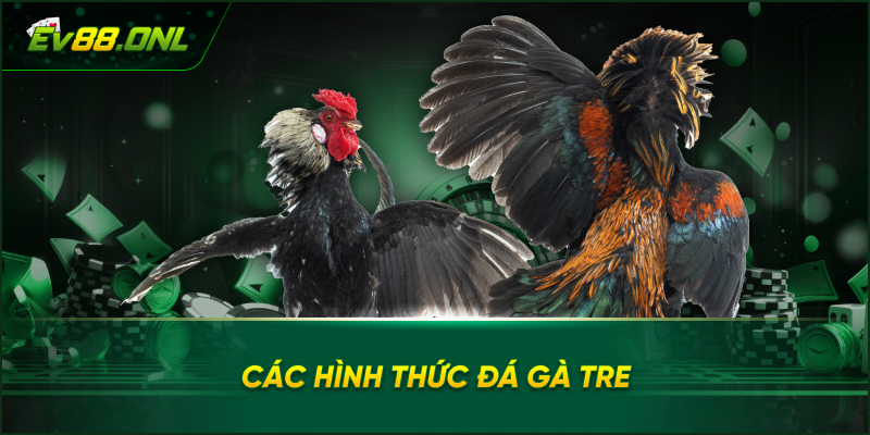 Các Hình Thức Đá Gà Tre