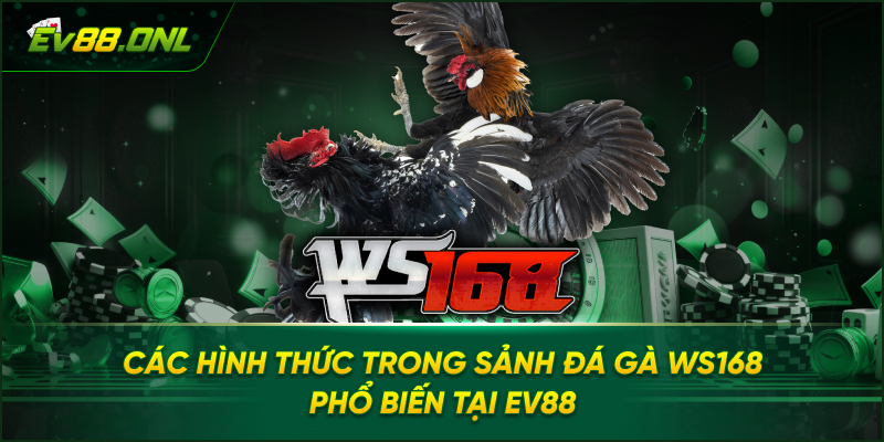 Các Hình Thức Trong Sảnh Đá Gà WS168 Phổ Biến Tại EV88