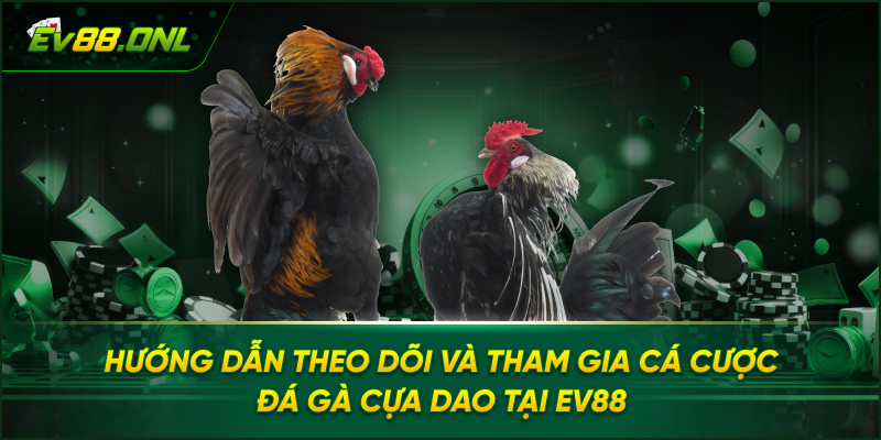 Hướng Dẫn Theo Dõi Và Tham Gia Cá cược Đá gà Cựa Dao Tại EV88