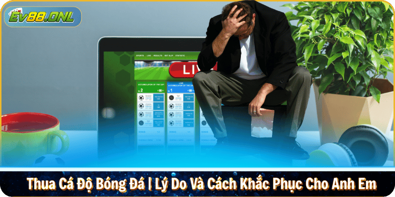 Thua Cá Độ Bóng Đá | Lý Do Và Cách Khắc Phục Cho Anh Em